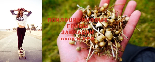 таблы Алексин