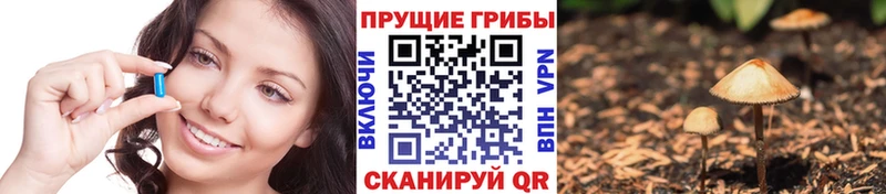 нарко площадка Telegram  kraken вход  Микунь  Галлюциногенные грибы мицелий 